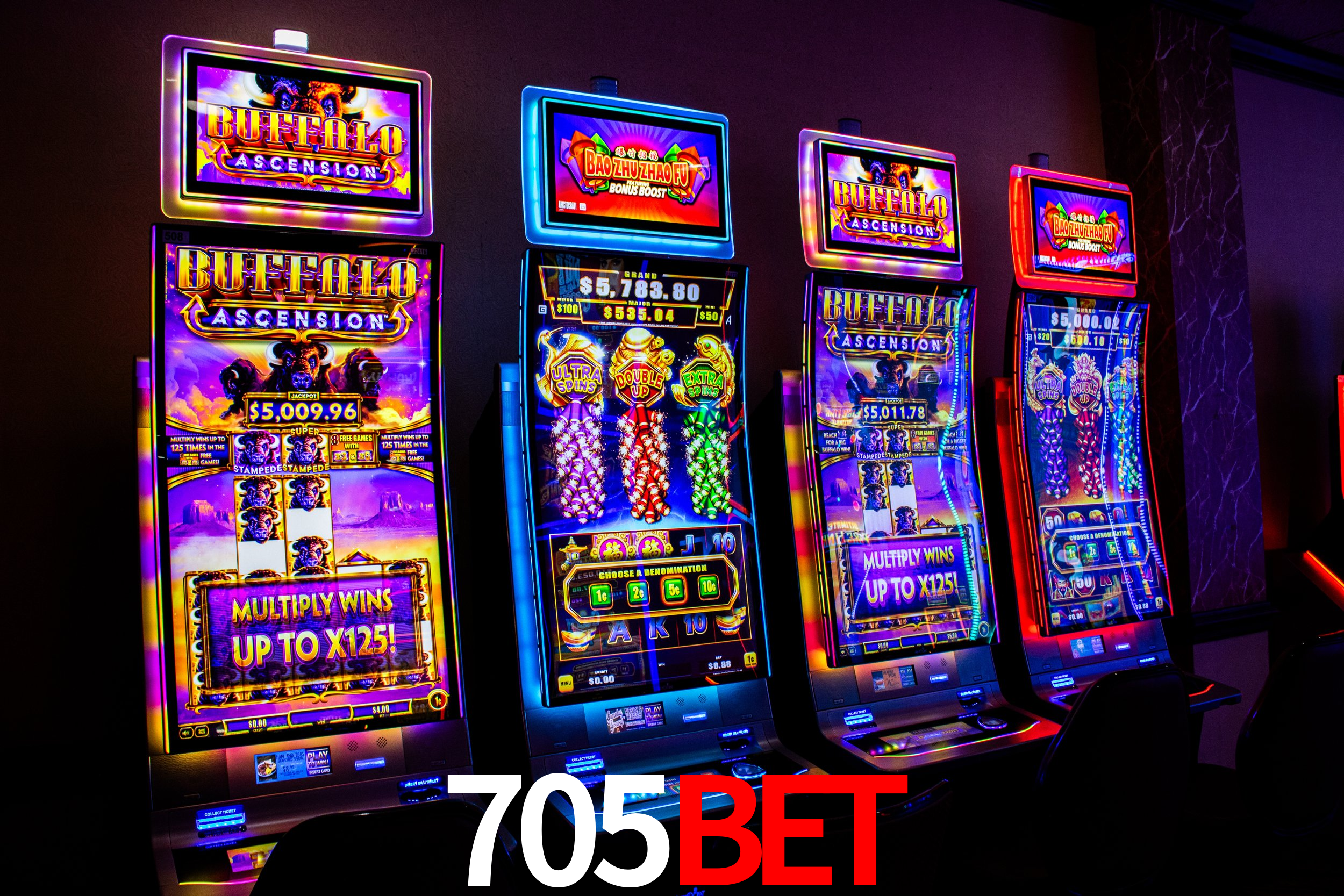 A Emoção da Loteria na 705bet: Uma Chance de Mudança de Vida